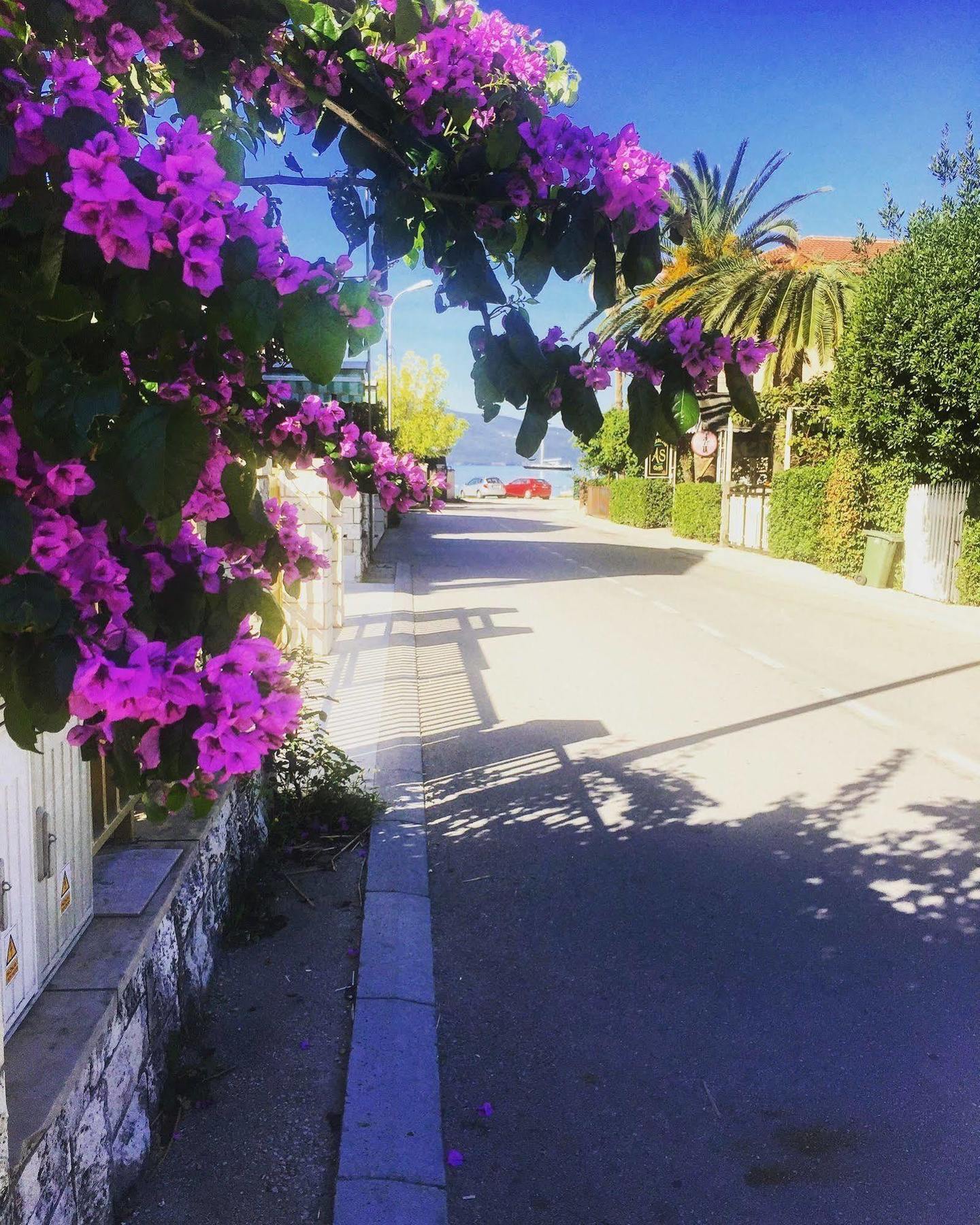 Hotel Splendido Bay Tivat Eksteriør billede